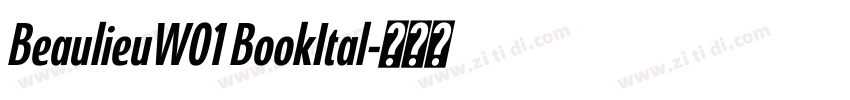 BeaulieuW01 BookItal字体转换